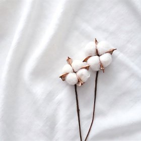 100% Combed Cotton