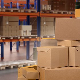Wholesale & Distribution