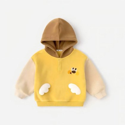 Color Block Kids Hoodies