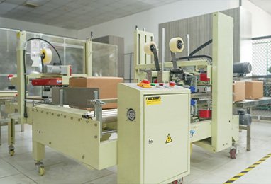 Automatic Packaging Machine