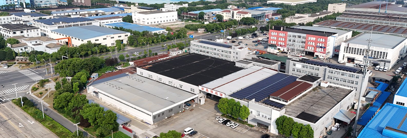 Company Profile